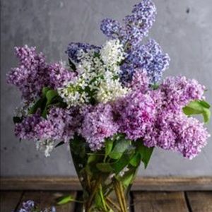 Meet your Posher, Brenda